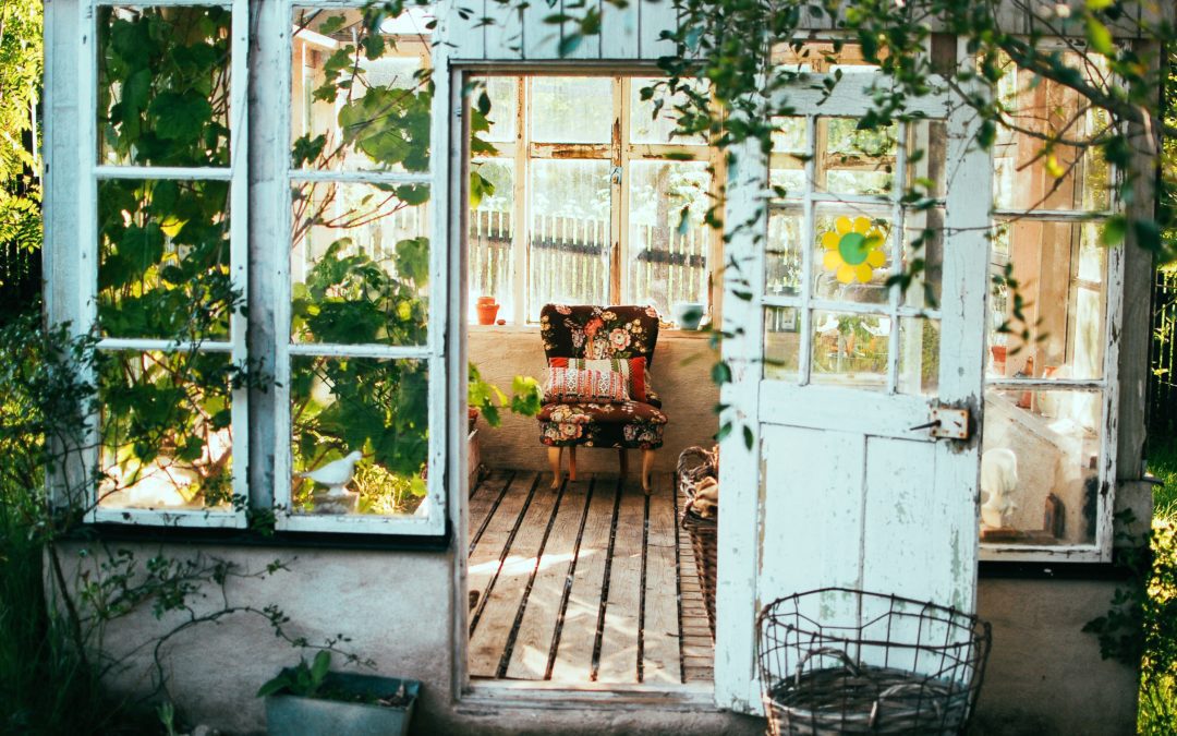 Turn an old shed into a vintage greenhouse